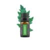 Mugwort - 10ml