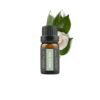 White Tea - 10ml